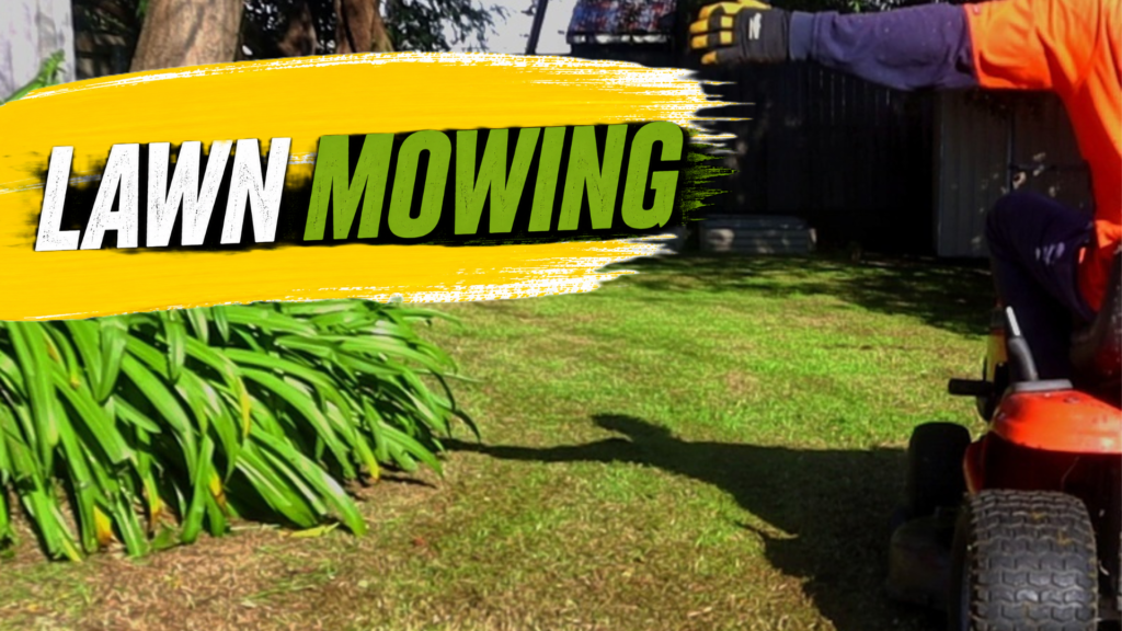 Lawn Mowing