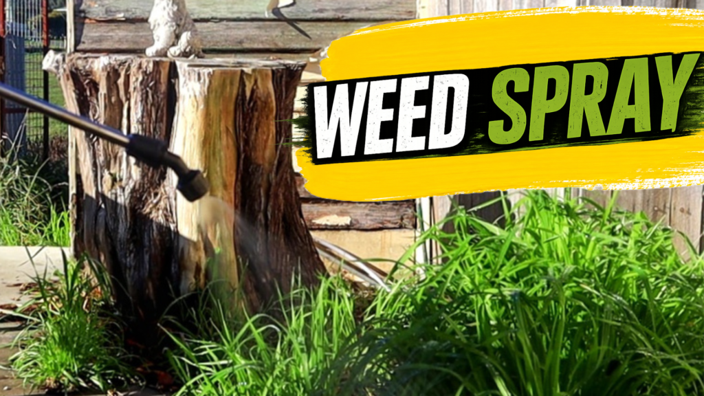 Weed Spraying Latrobe and Devonport